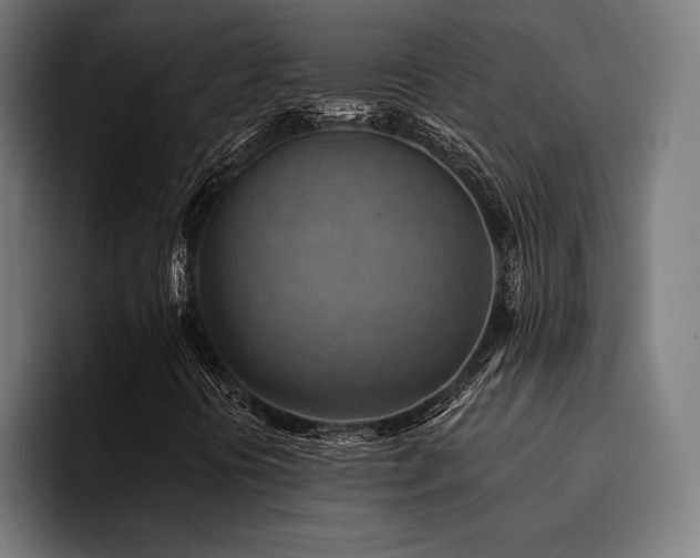 X0000094451394200711081255