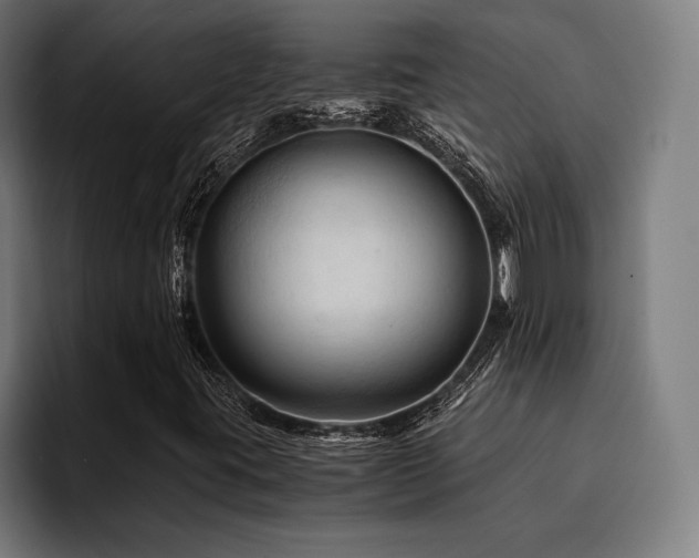 X0000094451395200711081255