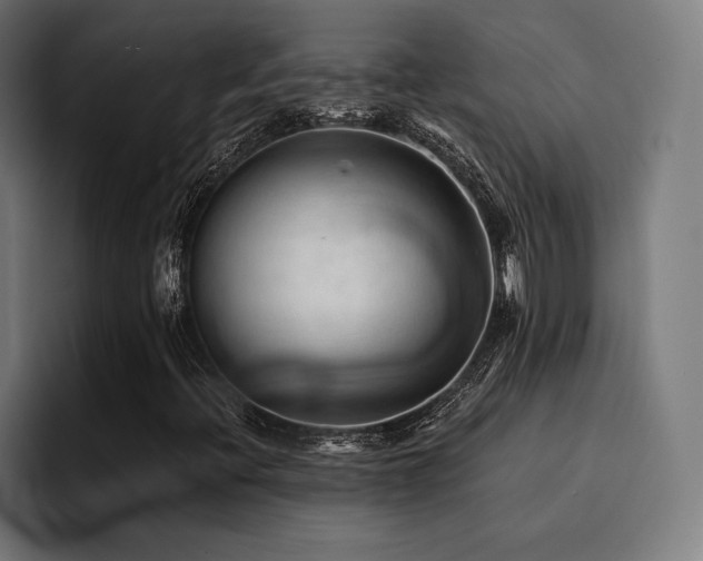 X0000094451396200711081255