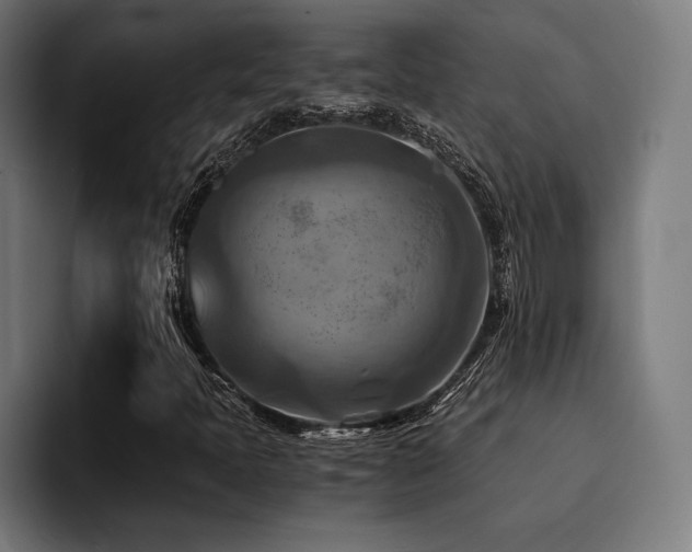 X0000094451397200711081255