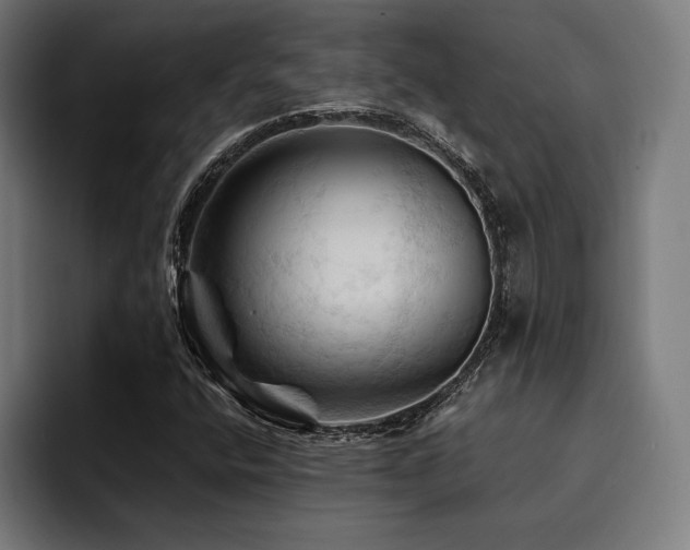 X0000094451400200711081255