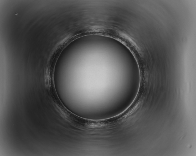 X0000094451403200711081255