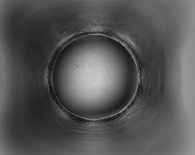 X0000094451404200711081255