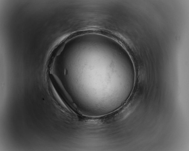X0000094451406200711081255