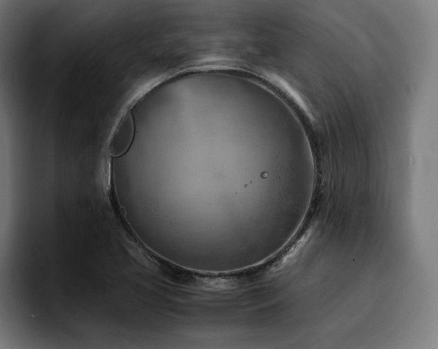 X0000094451413200711081255