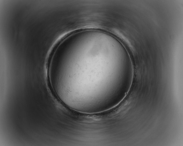 X0000094451416200711081255