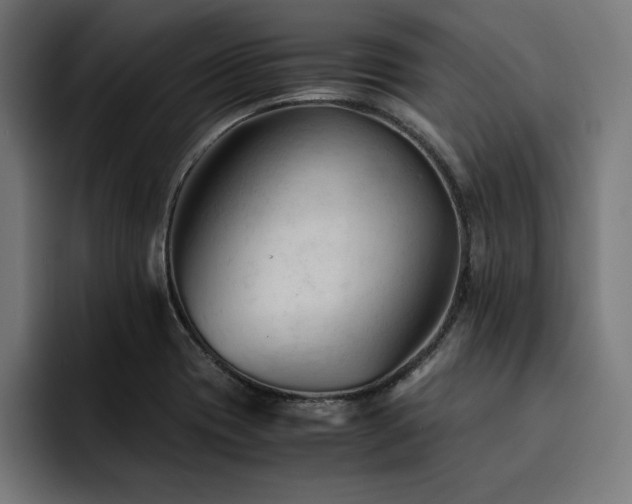 X0000094451417200711081255