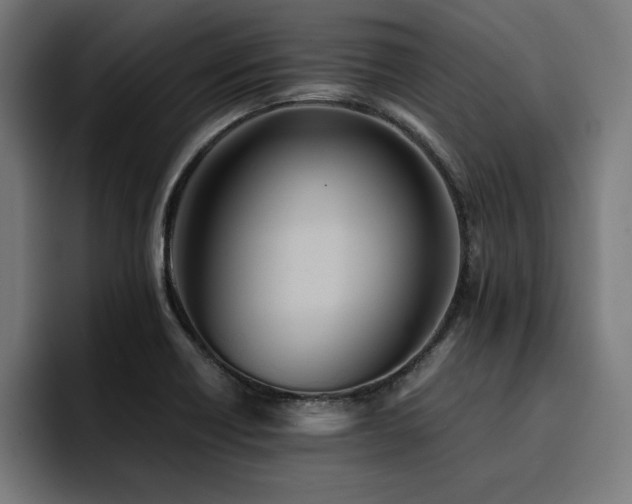 X0000094451418200711081255
