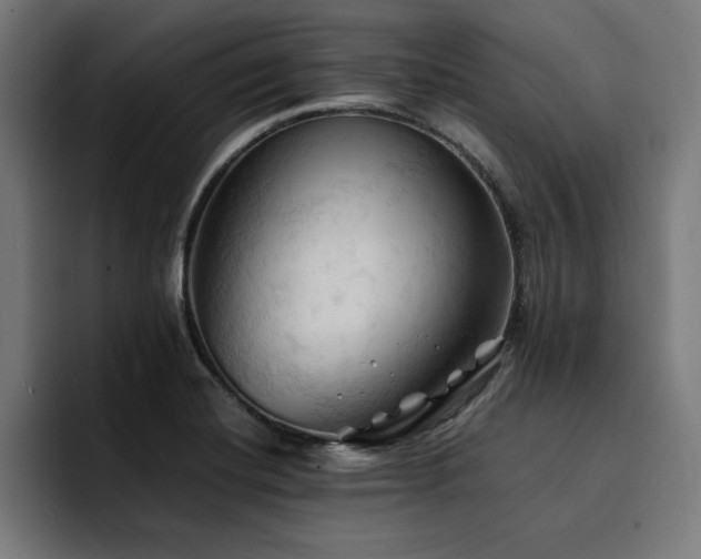 X0000094451420200711081255