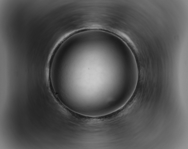 X0000094451424200711081255