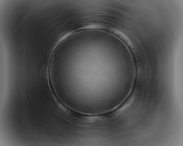 X0000094451425200711081255