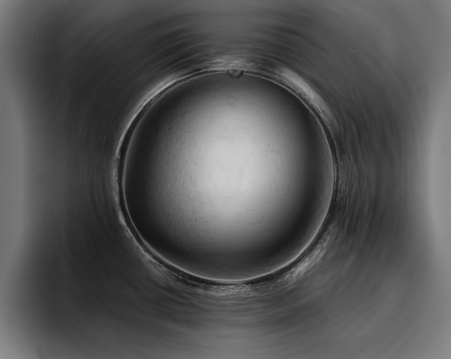 X0000094451434200711081256
