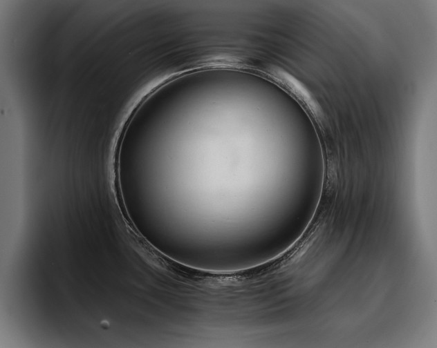 X0000094451435200711081256