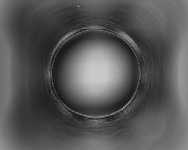 X0000094451436200711081256