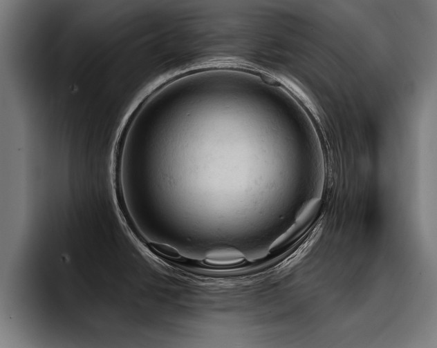X0000094451438200711081256