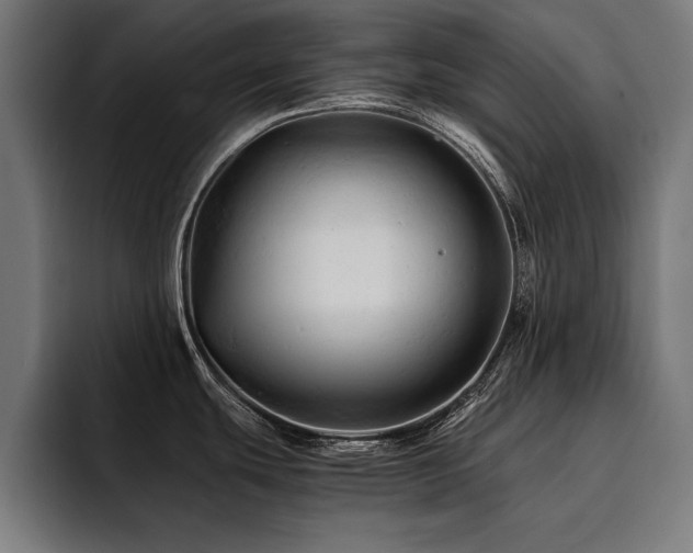 X0000094451439200711081256
