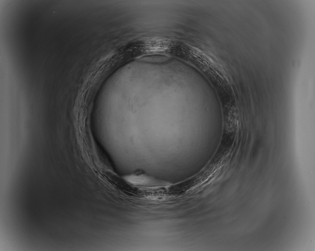 X0000094451441200711081255