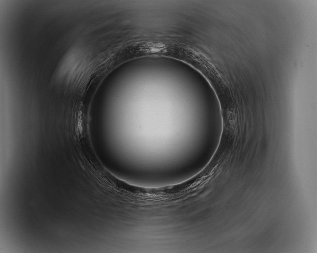 X0000094451442200711081255