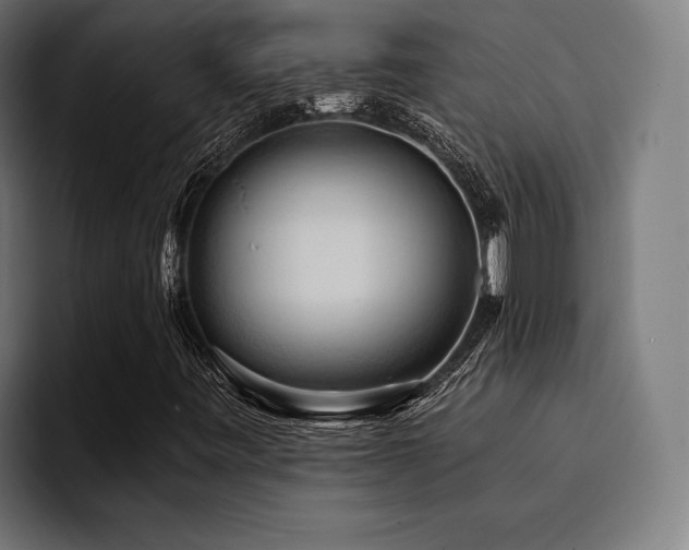 X0000094451443200711081255
