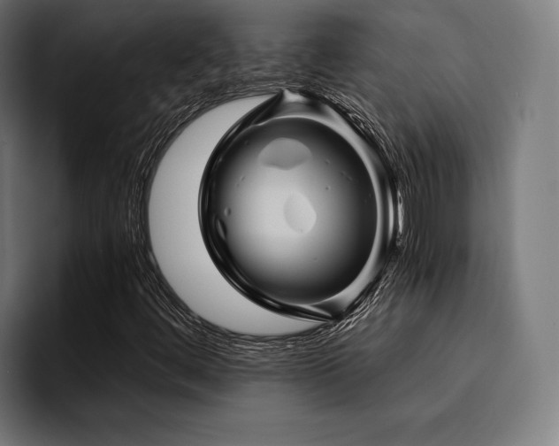 X0000094451444200711081255