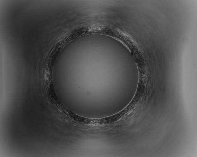 X0000094451445200711081255