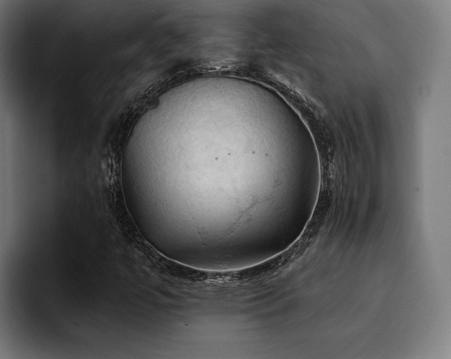 X0000094451447200711081255