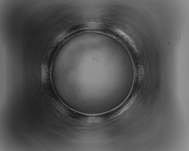 X0000094451449200711081255