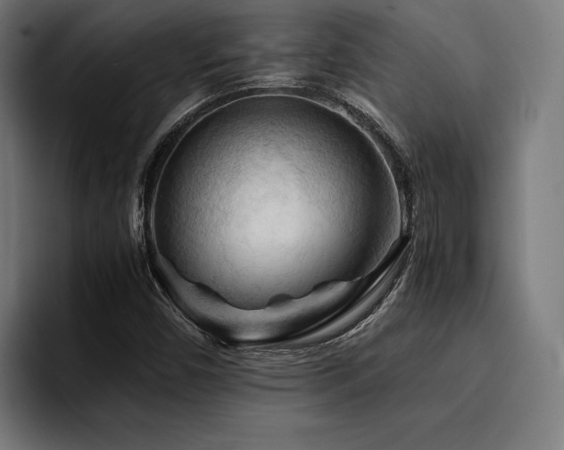 X0000094451450200711081255
