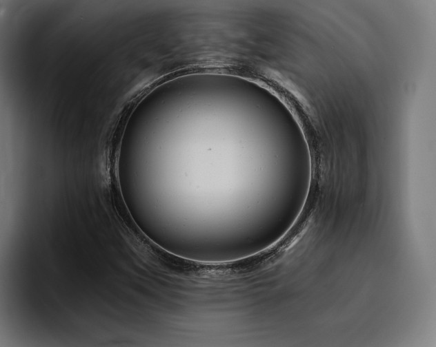 X0000094451451200711081255
