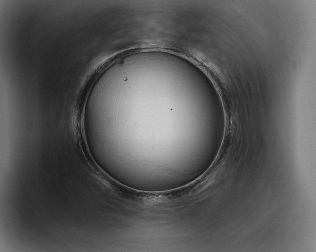 X0000094451454200711081255