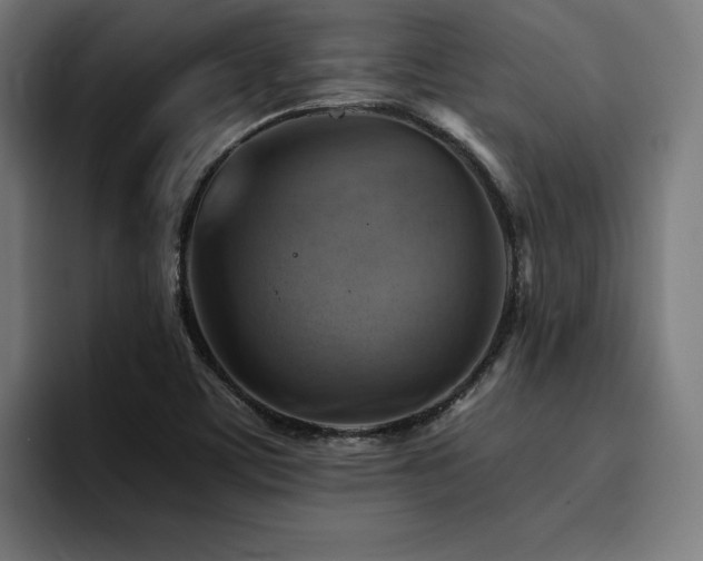 X0000094451459200711081255