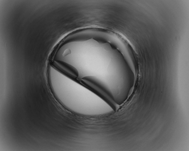 X0000094451460200711081255