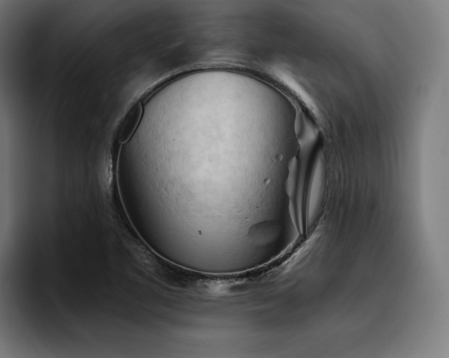 X0000094451461200711081255