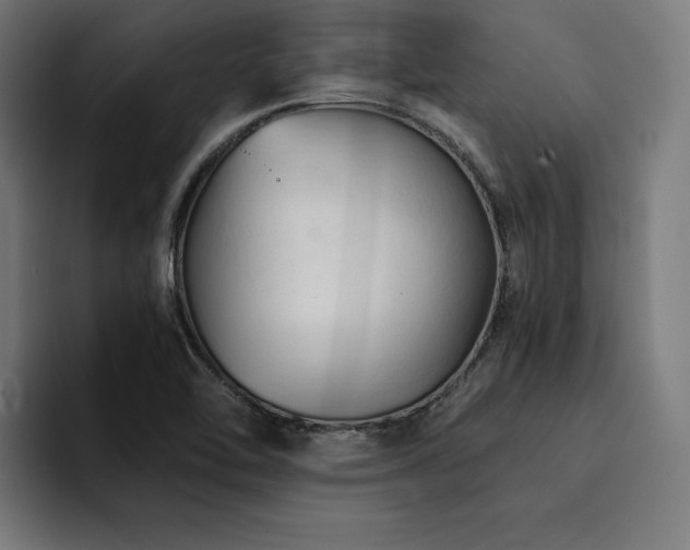 X0000094451462200711081255