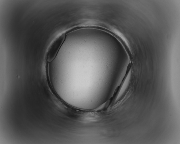 X0000094451464200711081255