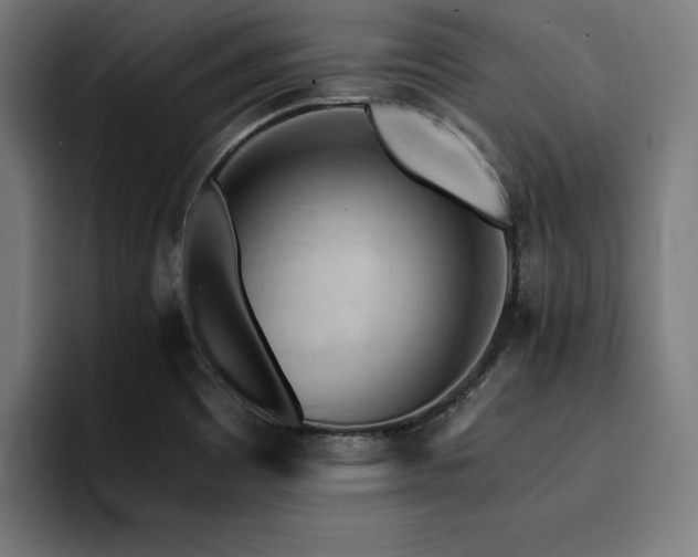 X0000094451465200711081255