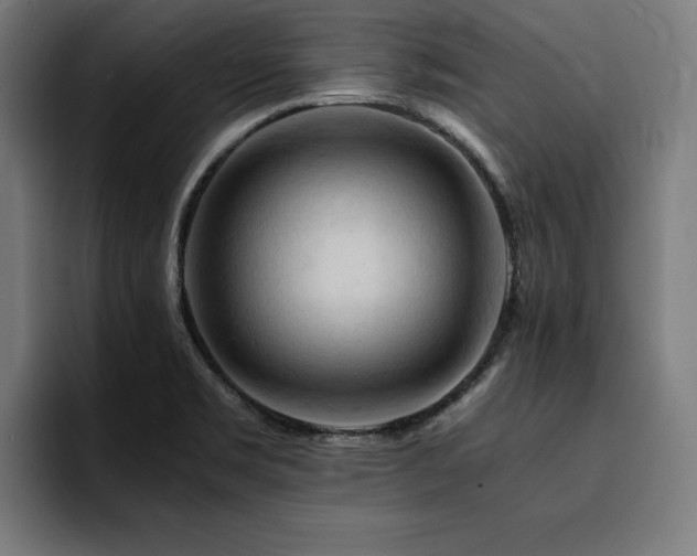 X0000094451469200711081255