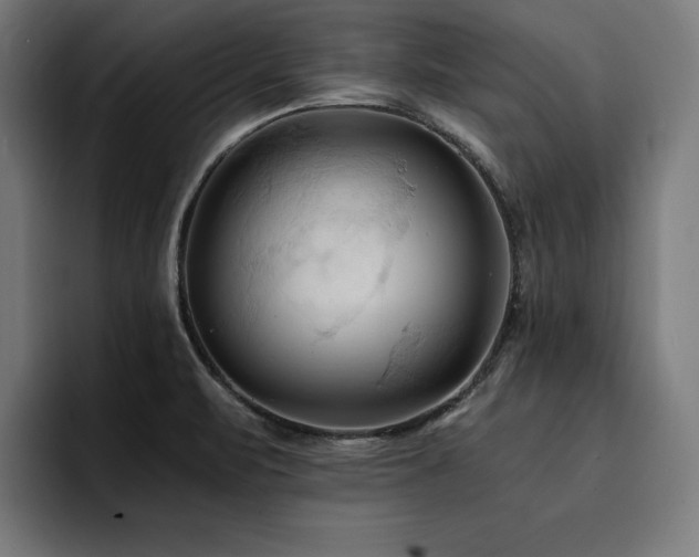 X0000094451471200711081255