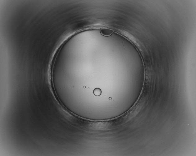 X0000094451474200711081255