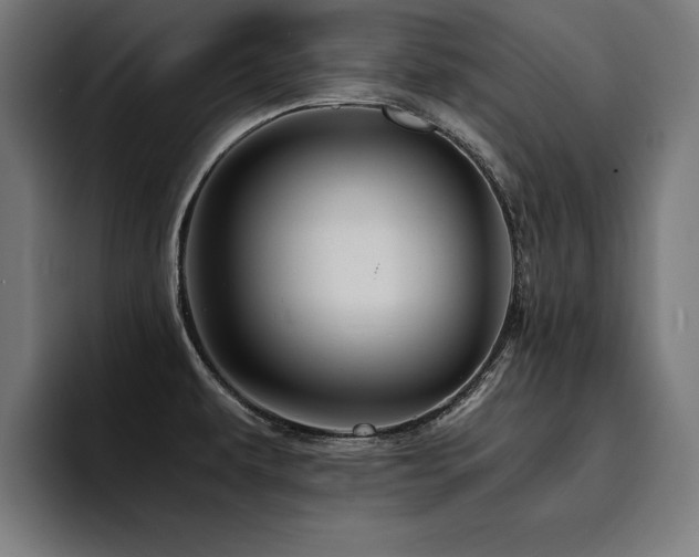 X0000094451479200711081255