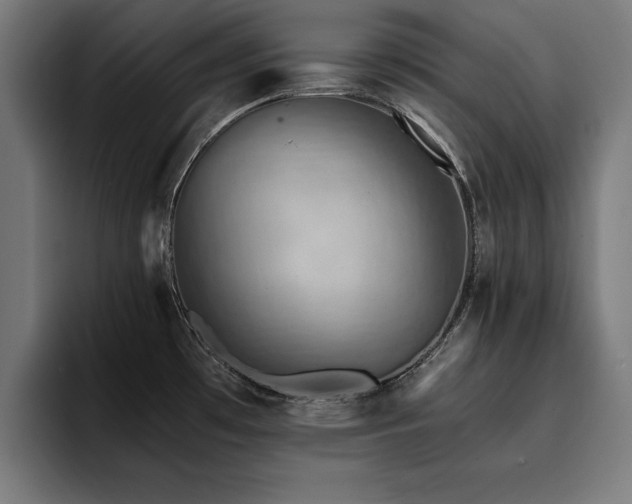 X0000094451481200711081255