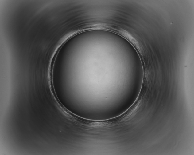 X0000094451482200711081255