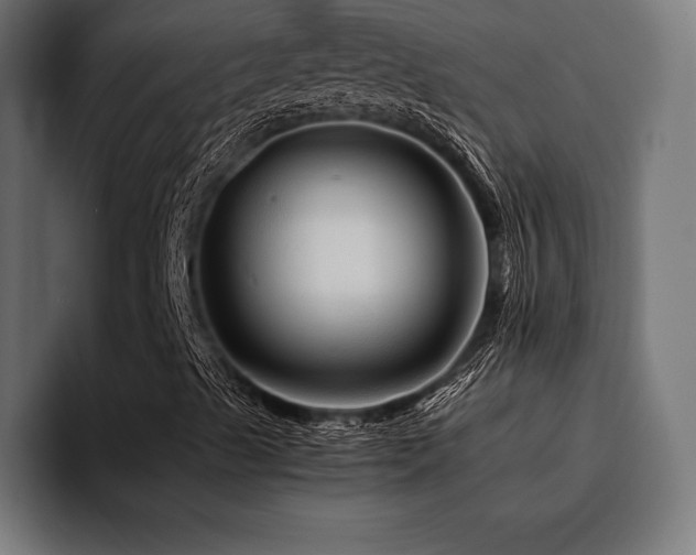 X0000094451489200711081254