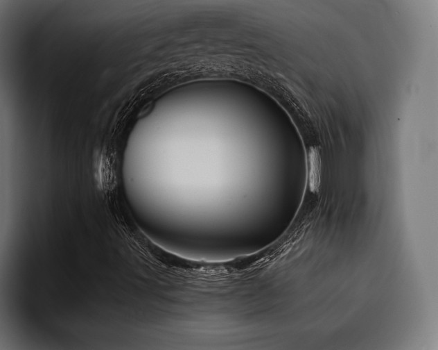 X0000094451491200711081254