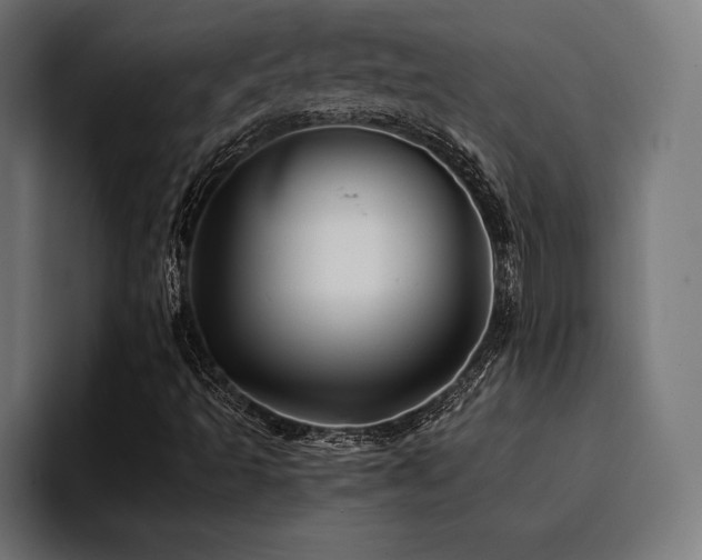X0000094451493200711081254