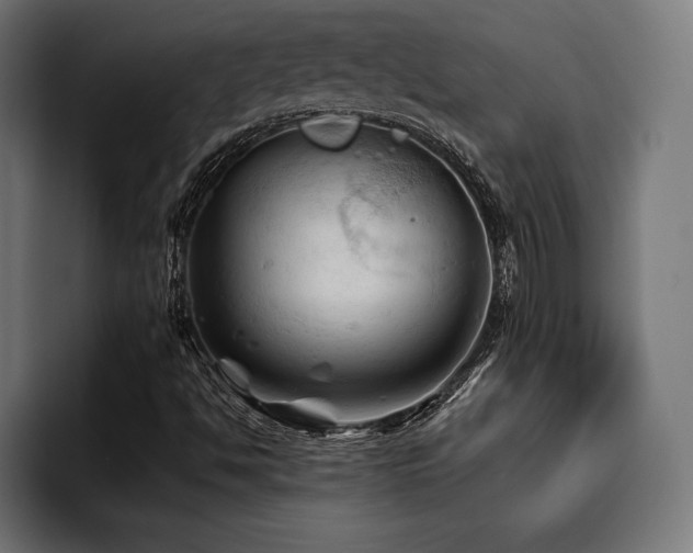 X0000094451494200711081254