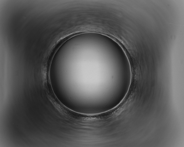 X0000094451499200711081254