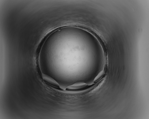 X0000094451501200711081254