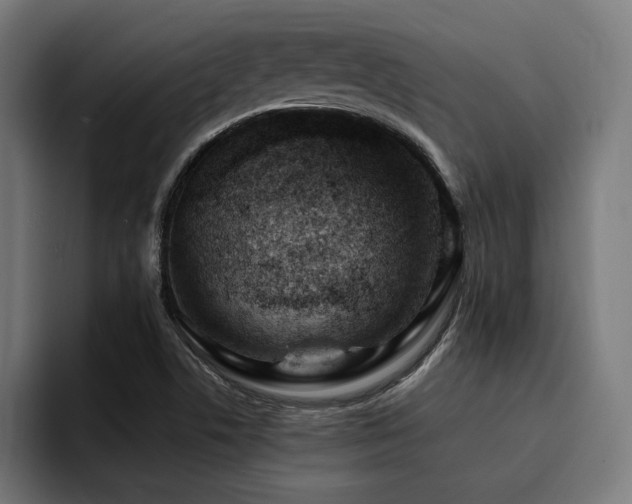 X0000094451506200711081254