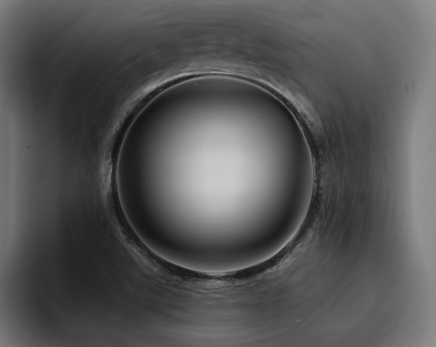 X0000094451507200711081254